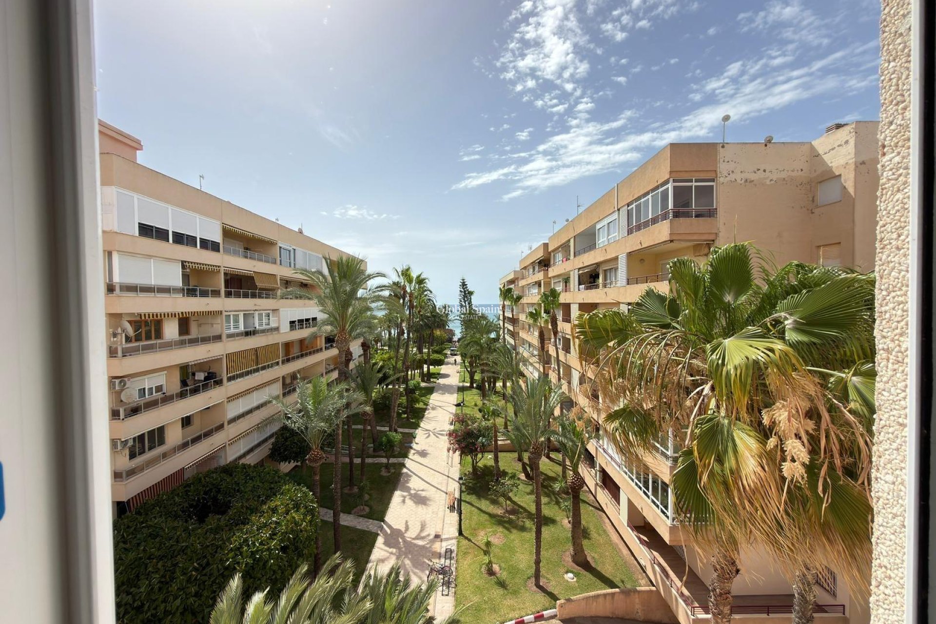 Venta - APARTAMENTO -
TORREVIEJA - Los Frutales
