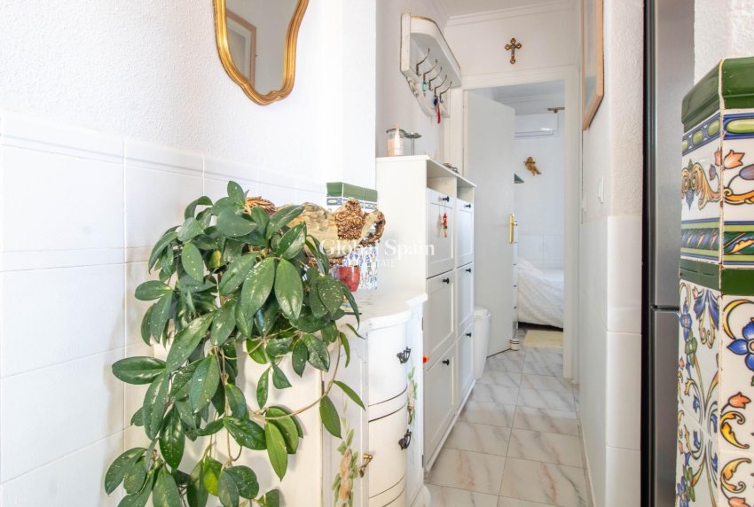 Venta - APARTAMENTO -
TORREVIEJA - Los Frutales