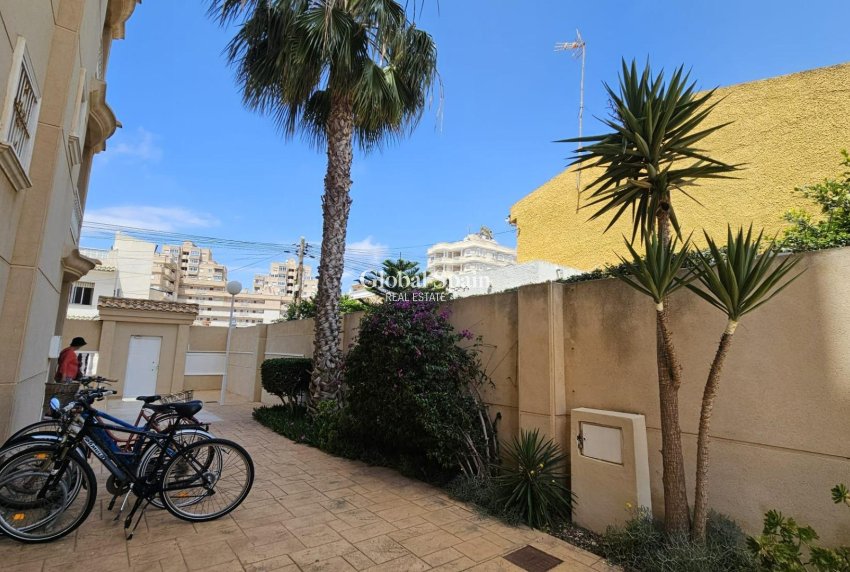 Venta - APARTAMENTO -
TORREVIEJA - Nueva Torrevieja