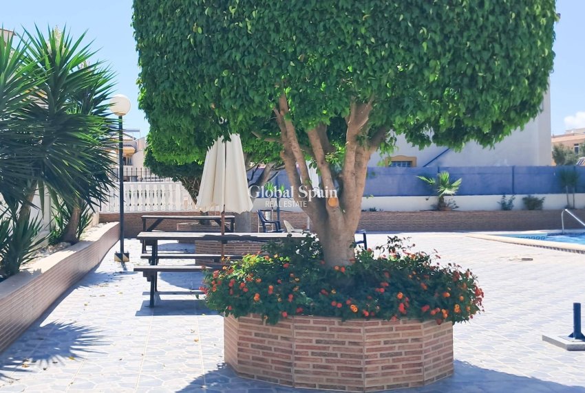 Venta - APARTAMENTO -
TORREVIEJA - Parque Acuático - Sector 25