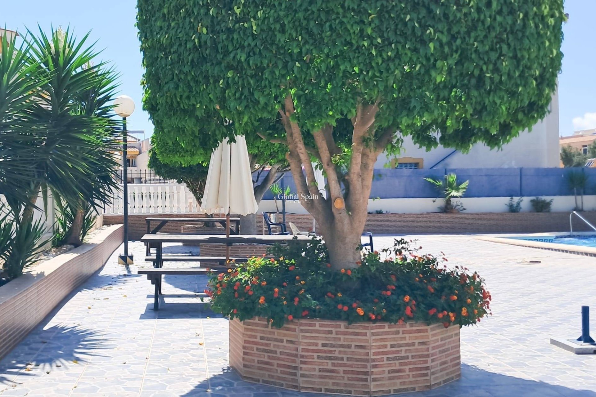 Venta - APARTAMENTO -
TORREVIEJA - Parque Acuático - Sector 25