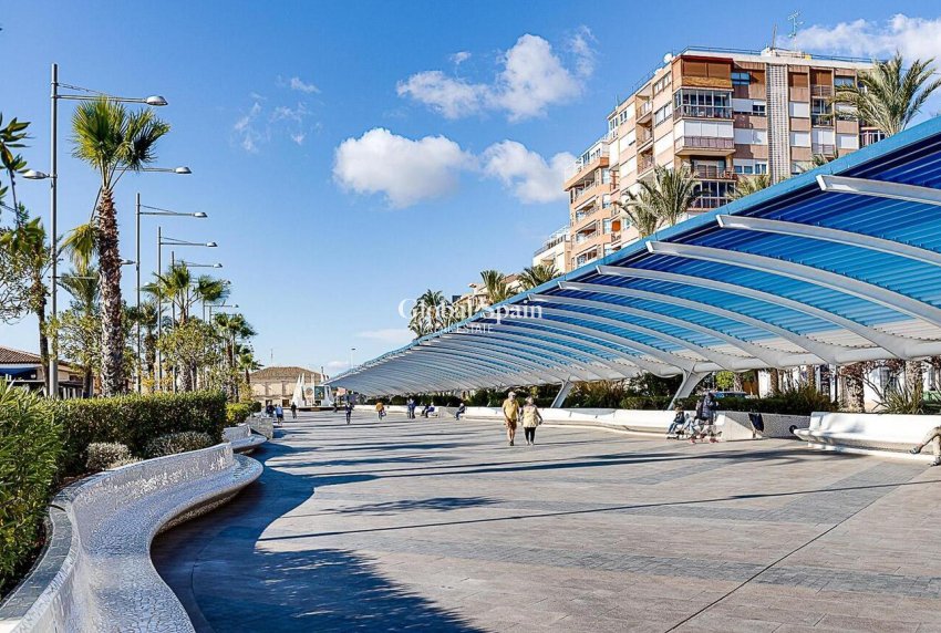 Venta - APARTAMENTO -
TORREVIEJA - Parque de las Naciones