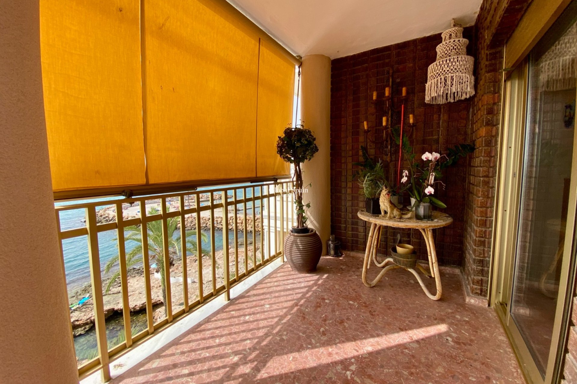 Venta - APARTAMENTO -
TORREVIEJA - Playa del Cura