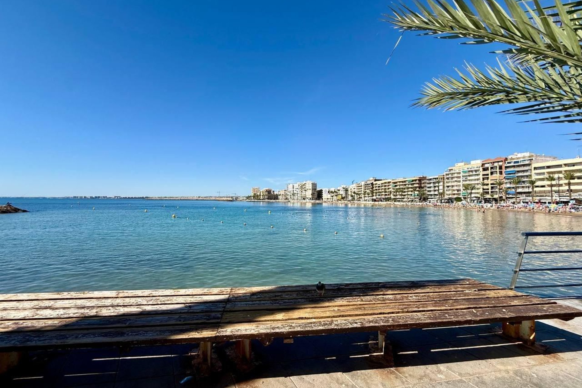 Venta - APARTAMENTO -
TORREVIEJA - Playa del Cura