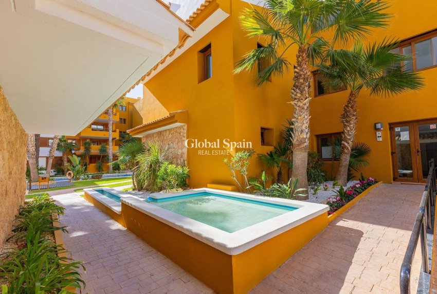 Venta - APARTAMENTO -
TORREVIEJA - Punta Prima