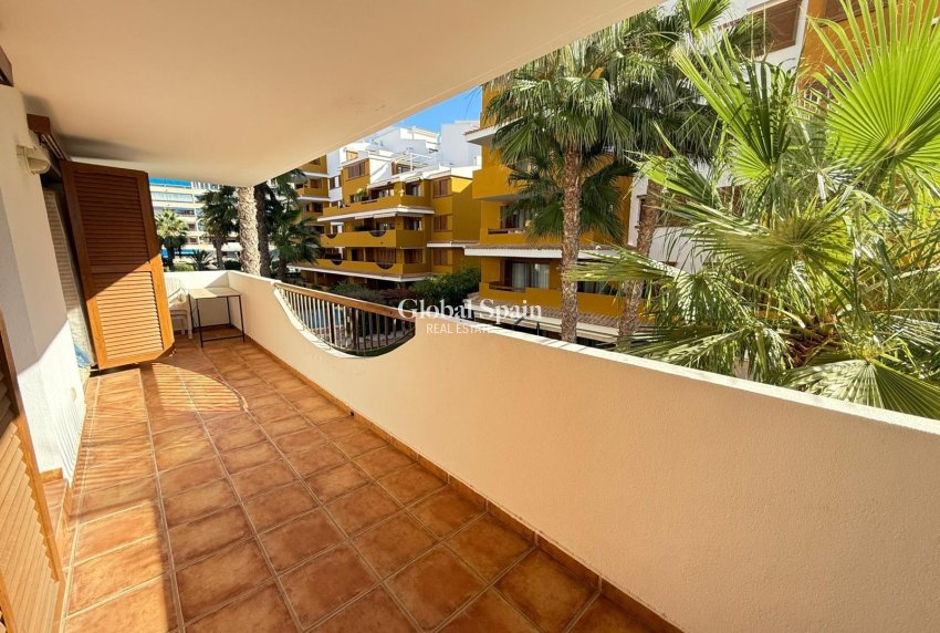 Venta - APARTAMENTO -
TORREVIEJA - Punta Prima