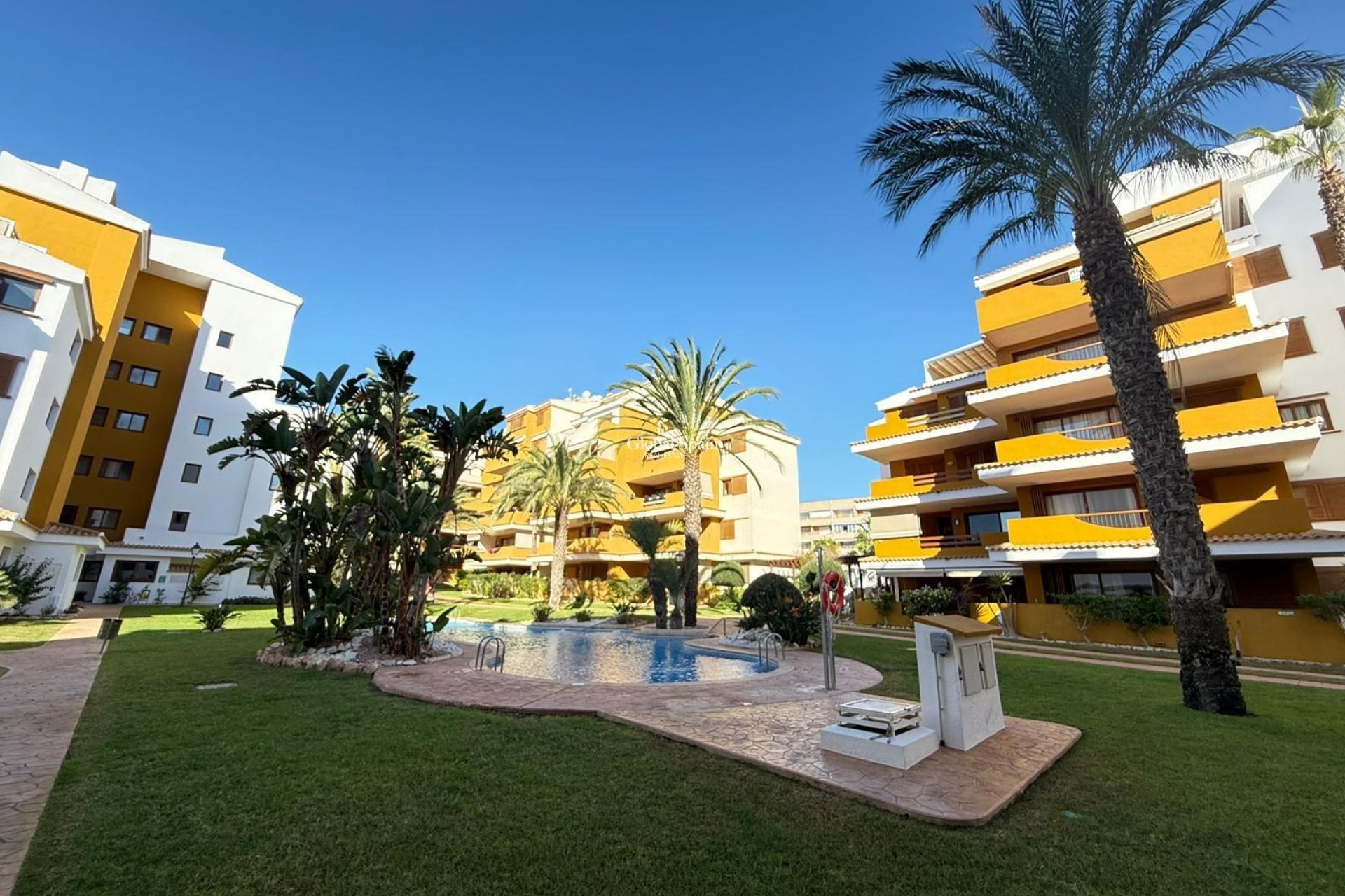 Venta - APARTAMENTO -
TORREVIEJA - Punta Prima