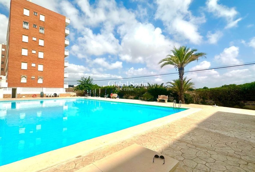 Venta - APARTAMENTO -
TORREVIEJA - Punta Prima
