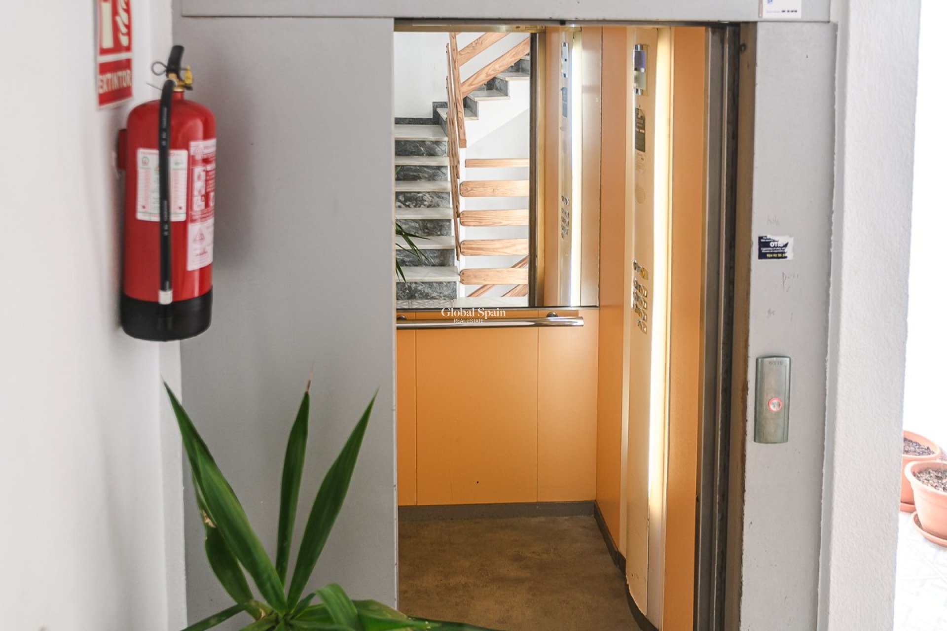 Venta - APARTAMENTO -
TORREVIEJA - Punta Prima