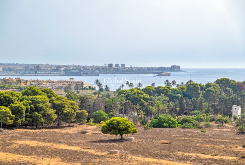 Venta - APARTAMENTO -
TORREVIEJA - Punta Prima