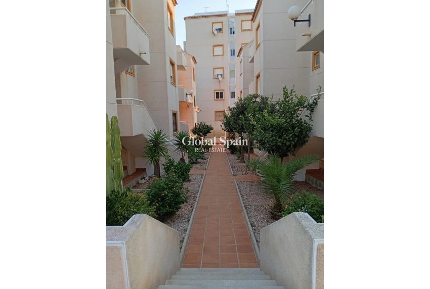 Venta - APARTAMENTO -
TORREVIEJA - Torreblanca