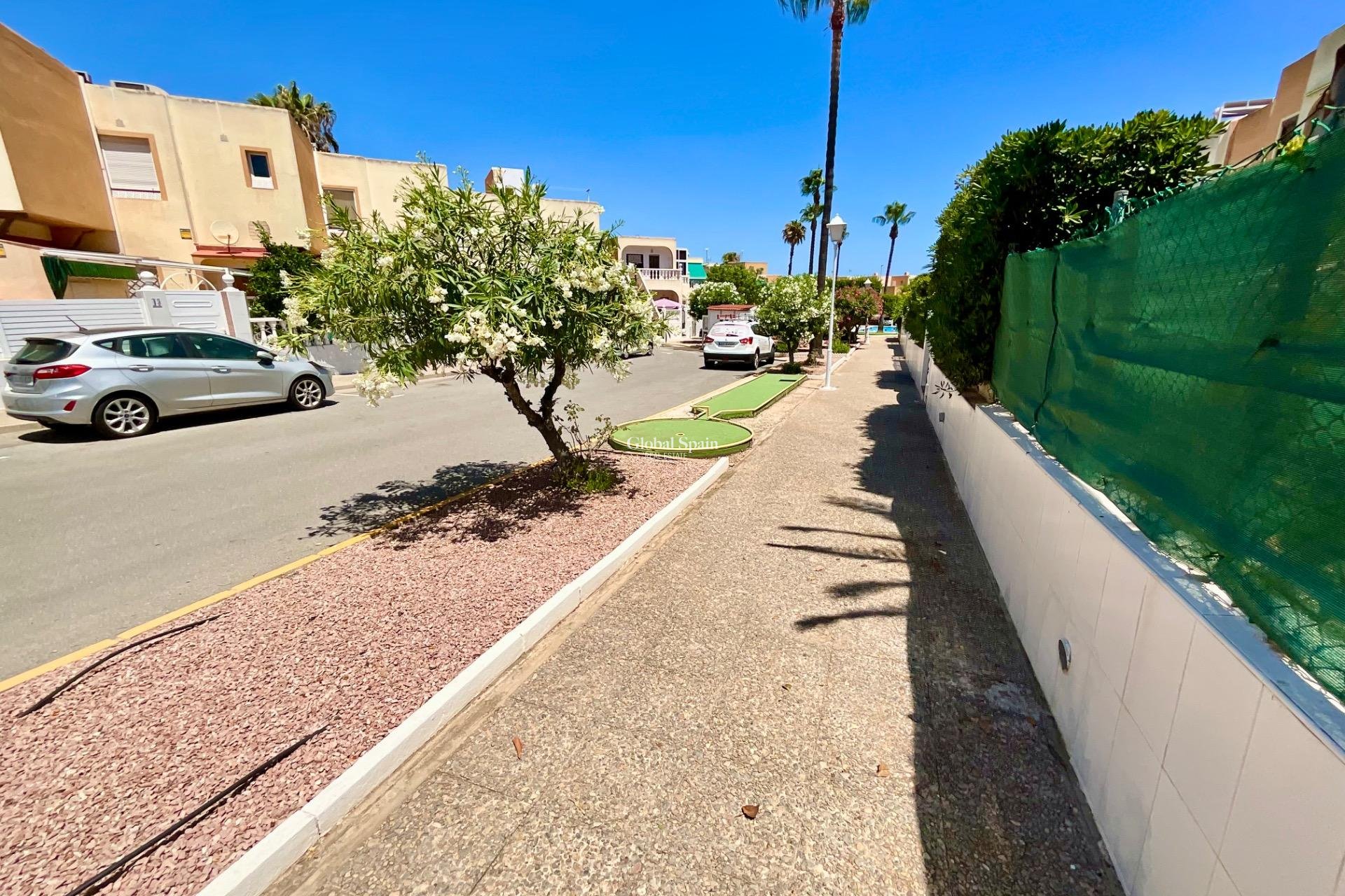 Venta - APARTAMENTO -
TORREVIEJA - Torreblanca