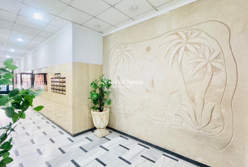 Venta - Apartamento -
TORREVIEJA - Torrevieja