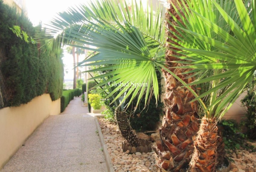 Venta - Apartamento -
TORREVIEJA - Torrevieja