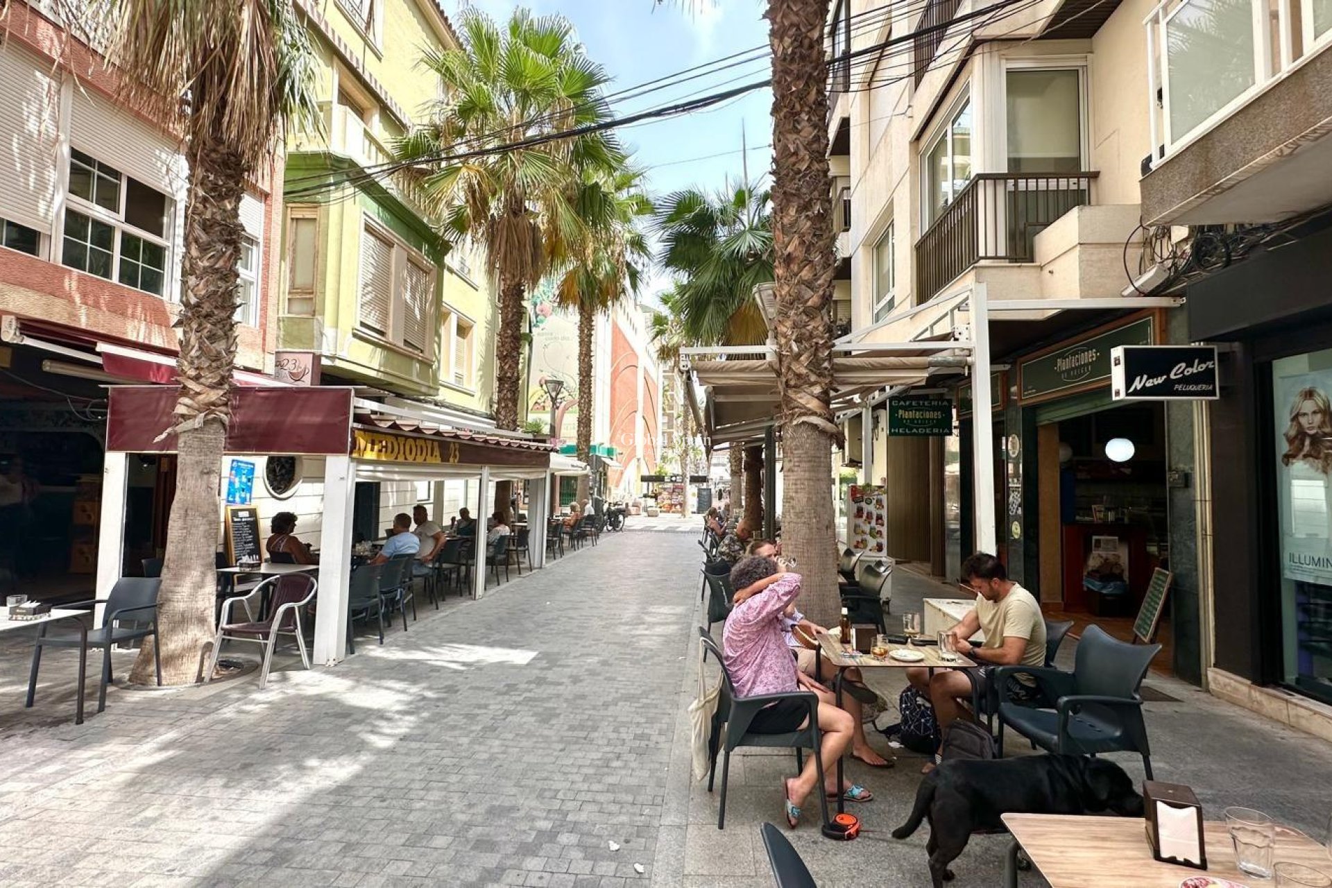 Venta - APARTAMENTO -
TORREVIEJA - Torrevieja