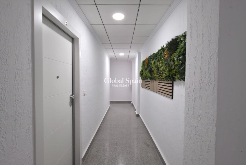 Venta - APARTAMENTO -
TORREVIEJA - Torrevieja