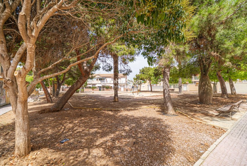 Venta - APARTAMENTO -
TORREVIEJA - Torrevieja