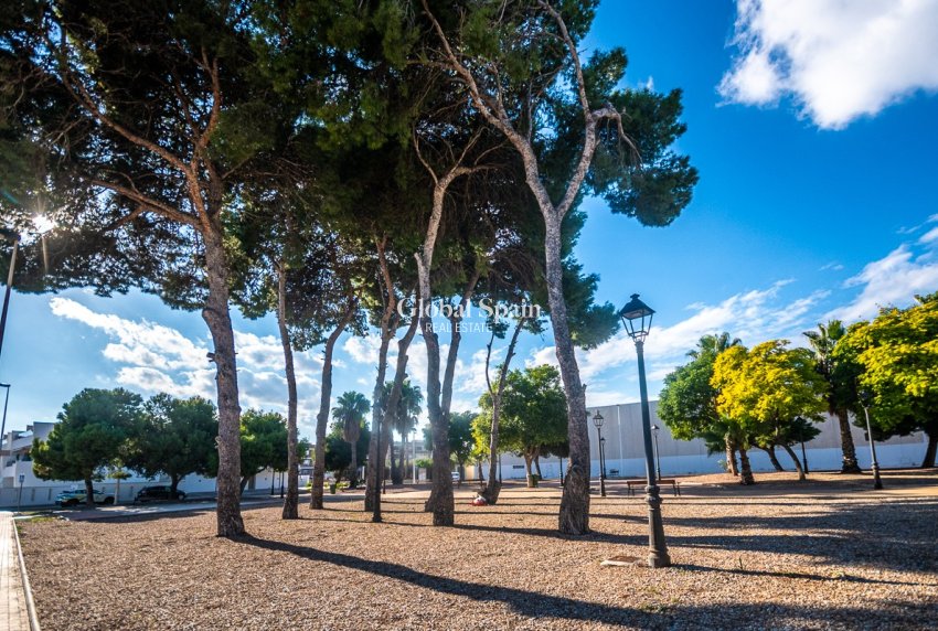 Venta - ÁTICO -
SAN PEDRO DEL PINATAR - San Pedro del Pinatar