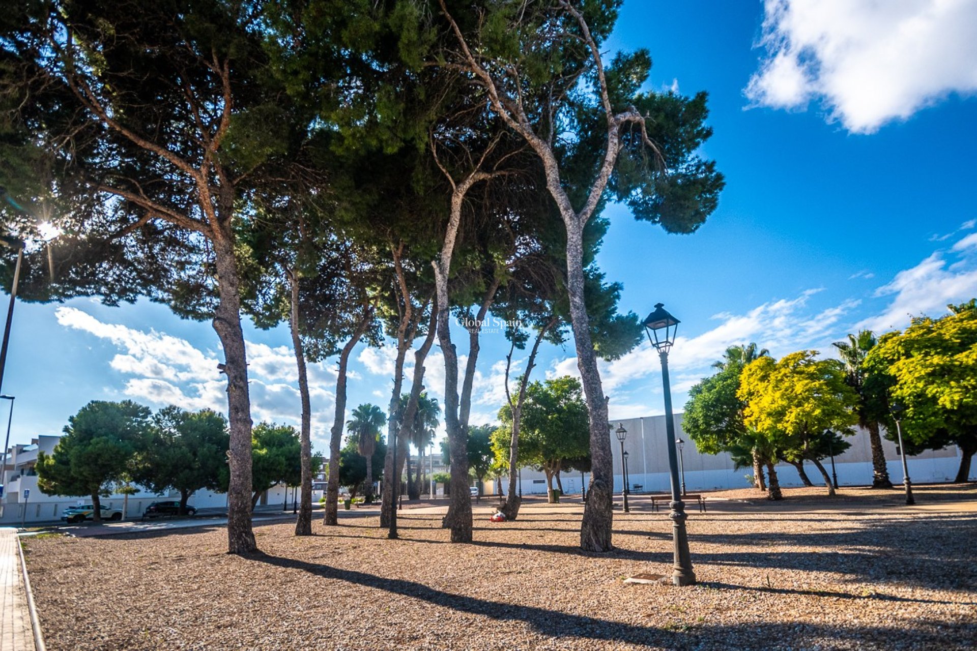 Venta - ÁTICO -
SAN PEDRO DEL PINATAR - San Pedro del Pinatar