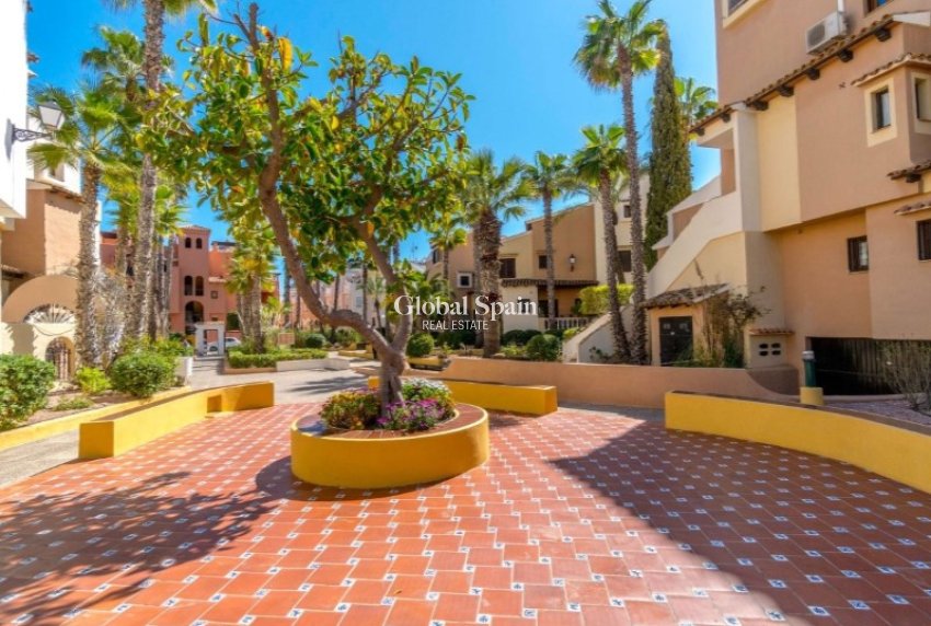 Venta - ÁTICO -
TORREVIEJA - Costa Blanca