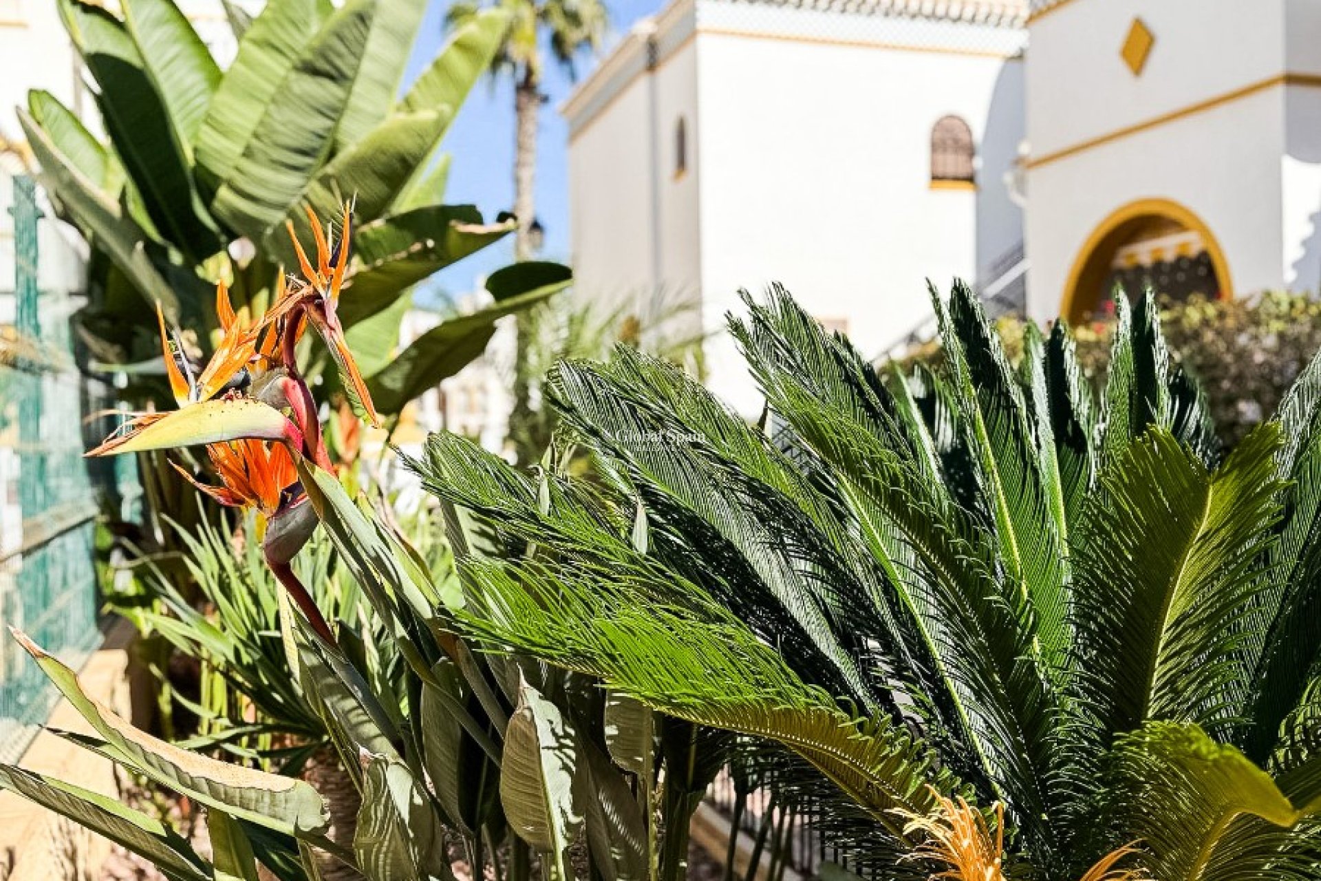 Venta - ÁTICO -
TORREVIEJA - La Mata