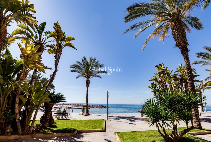 Venta - ÁTICO -
TORREVIEJA - Paseo maritimo