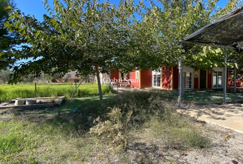 Venta -  -
BALSICAS - Balsicas