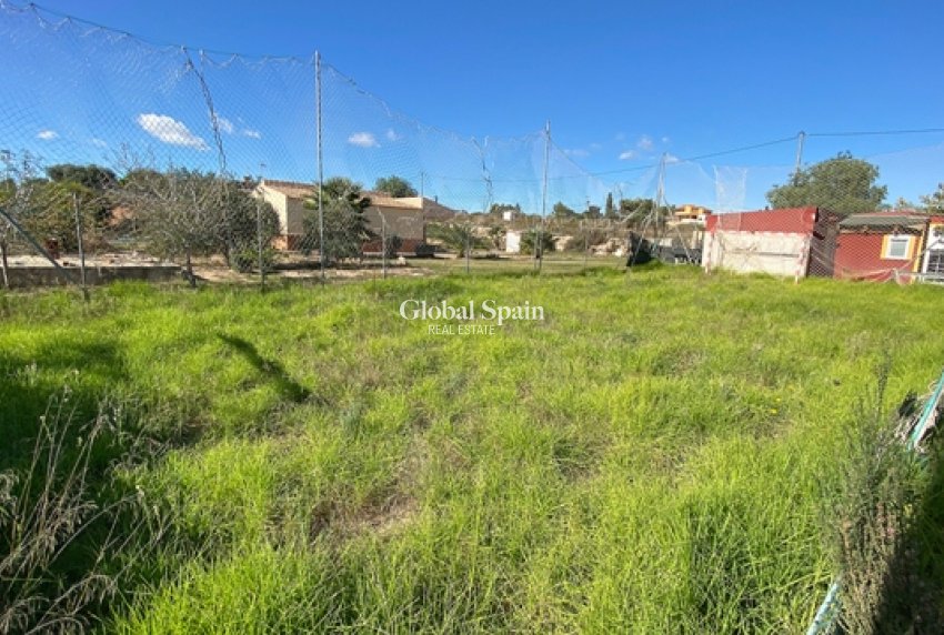 Venta -  -
BALSICAS - Balsicas