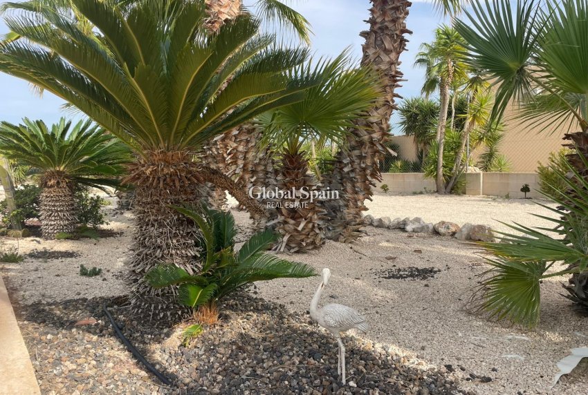 Venta - CASA -
ABANILLA - Abanilla