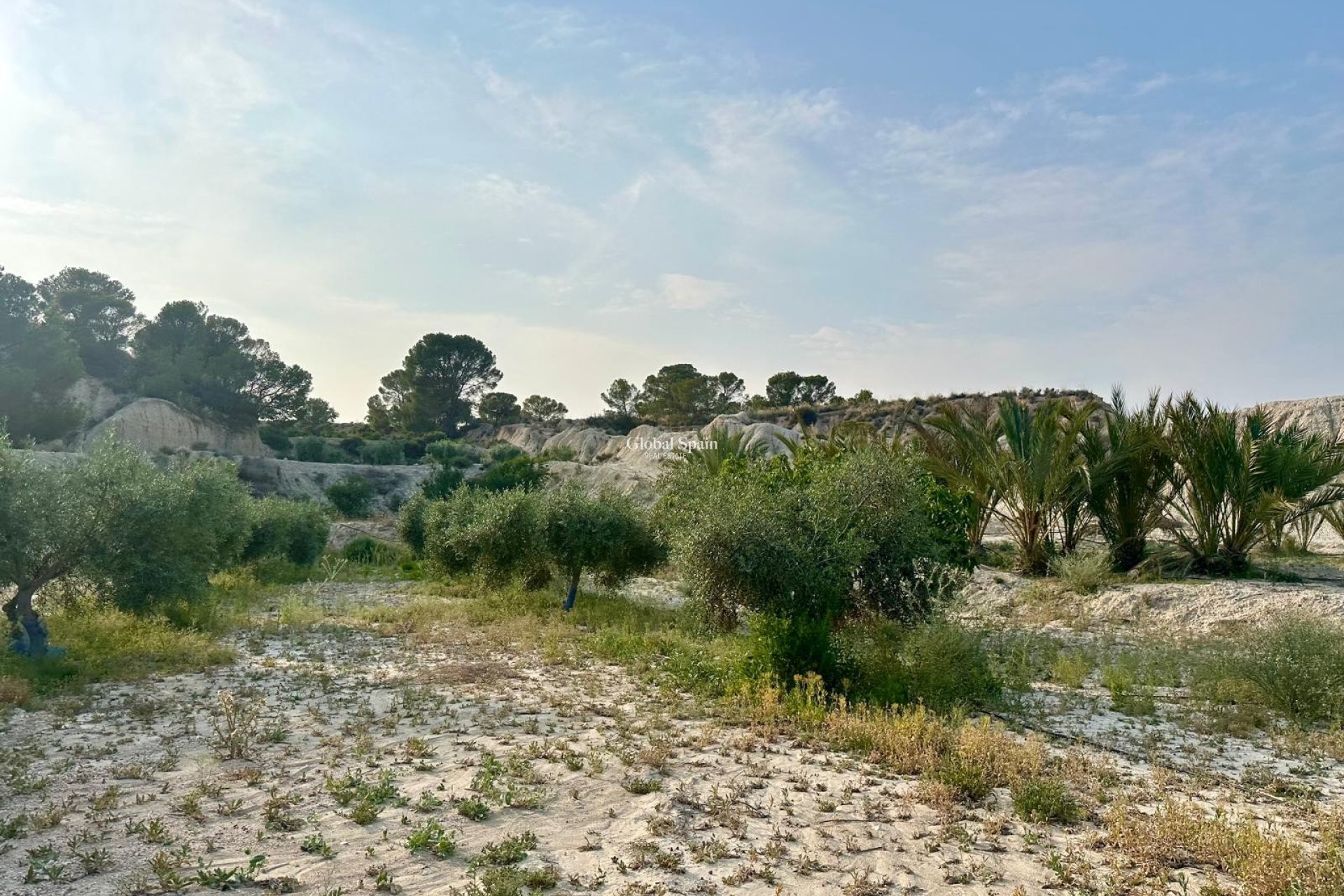 Venta - CASA -
ABANILLA - Inland