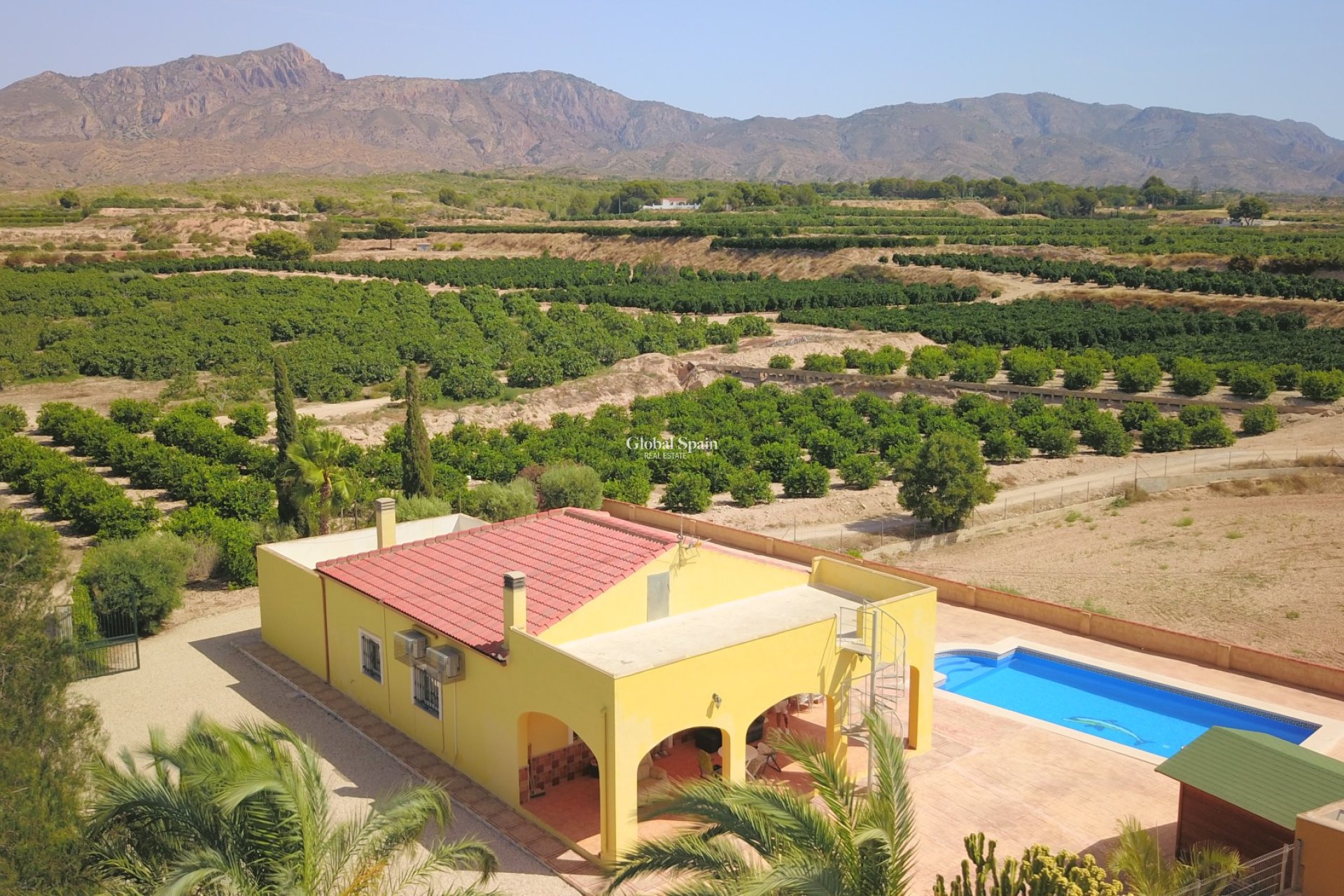 Venta - CASA -
Albatera - Albatera - Country