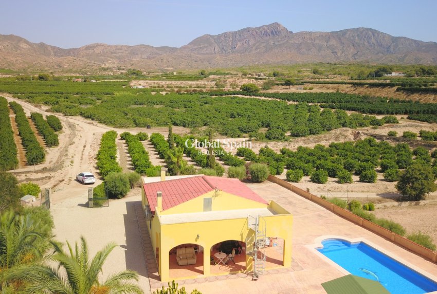 Venta - CASA -
Albatera - Albatera - Country