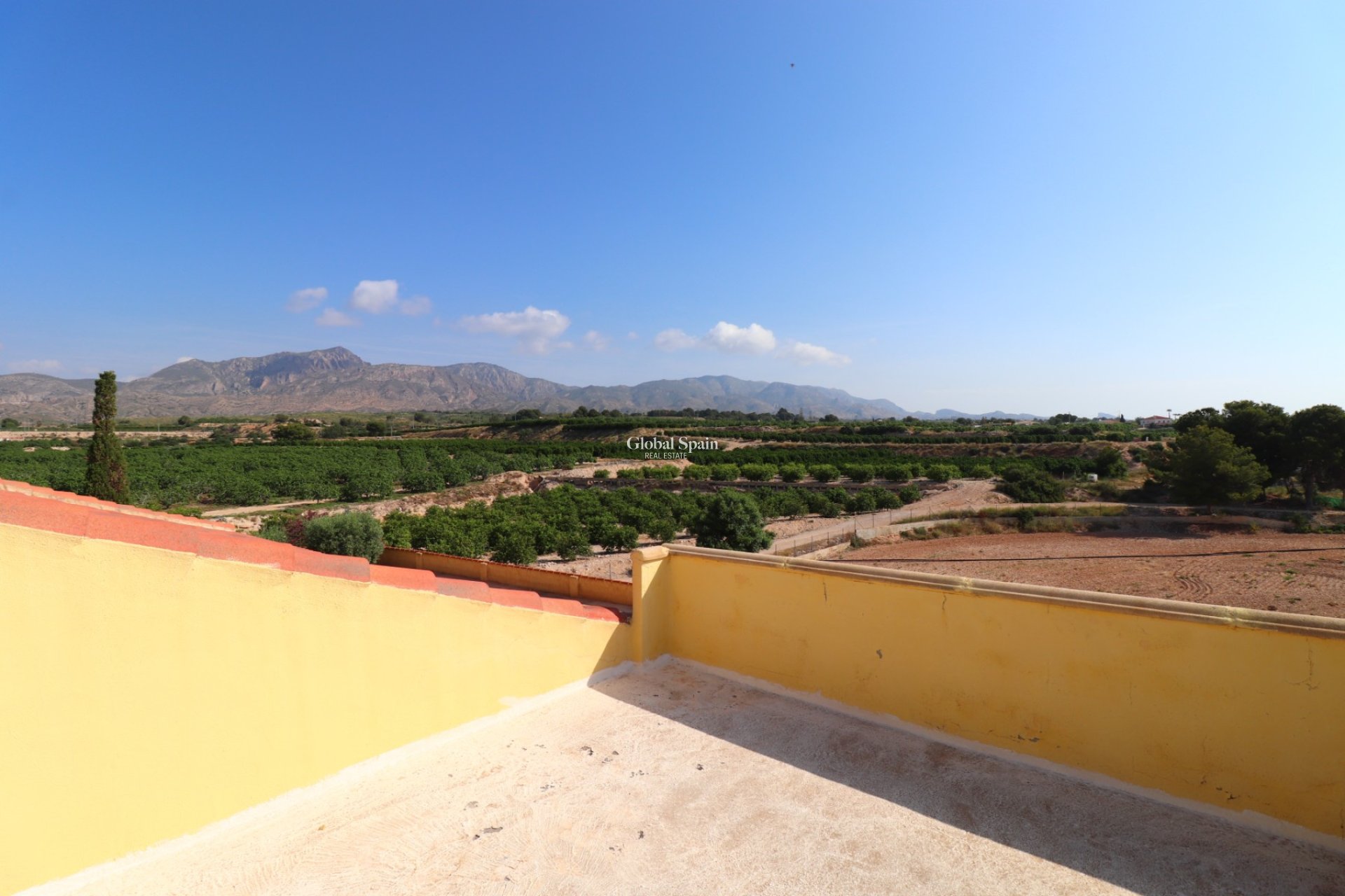 Venta - CASA -
ALBATERA - Albatera - Country