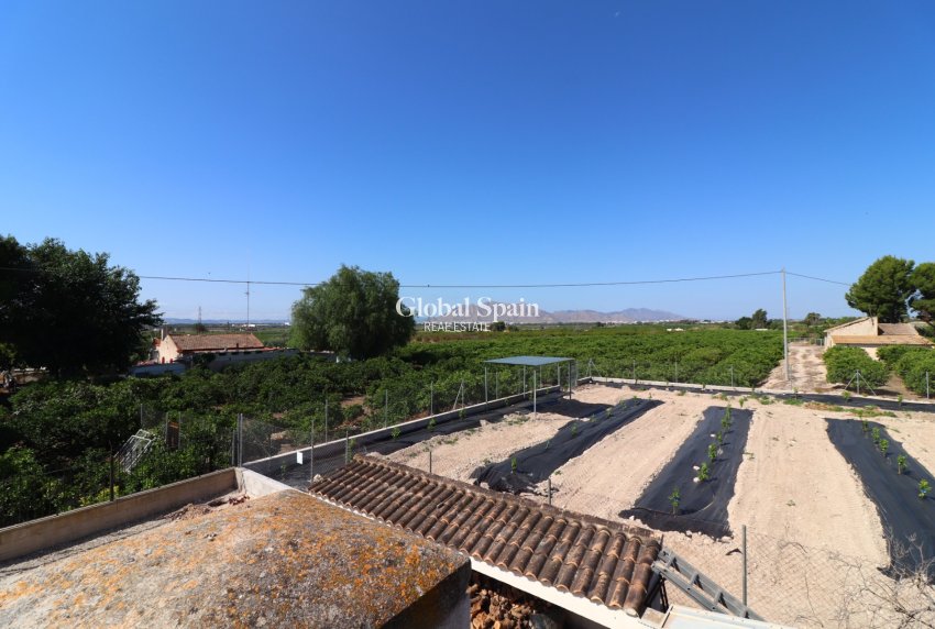 Venta - CASA -
ALBATERA - Albatera - Country
