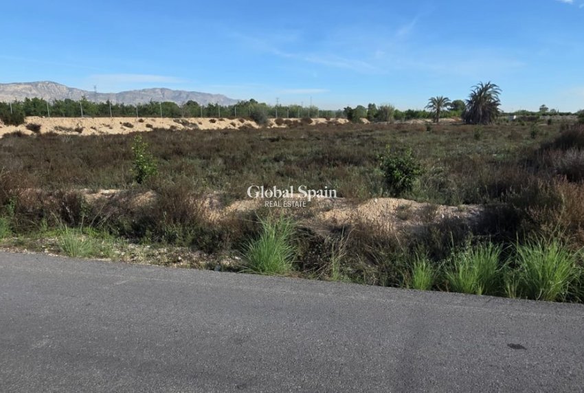 Venta - CASA -
ALBATERA - Inland