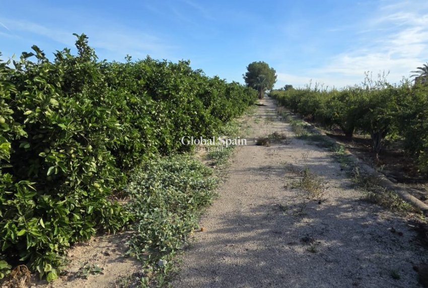 Venta - CASA -
ALBATERA - Inland