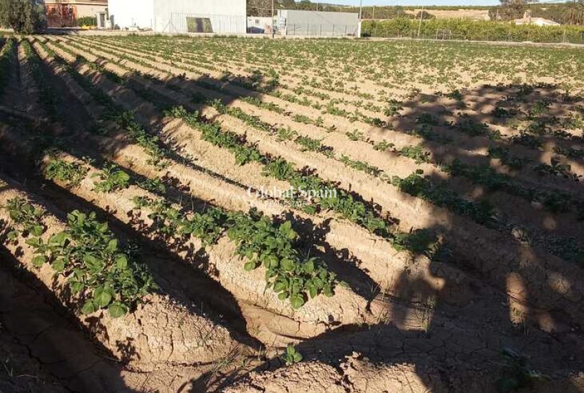 Venta - CASA -
ARNEVA - LOS DESAMPARADOS