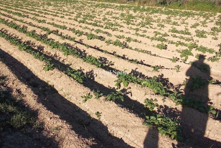 Venta - CASA -
ARNEVA - LOS DESAMPARADOS