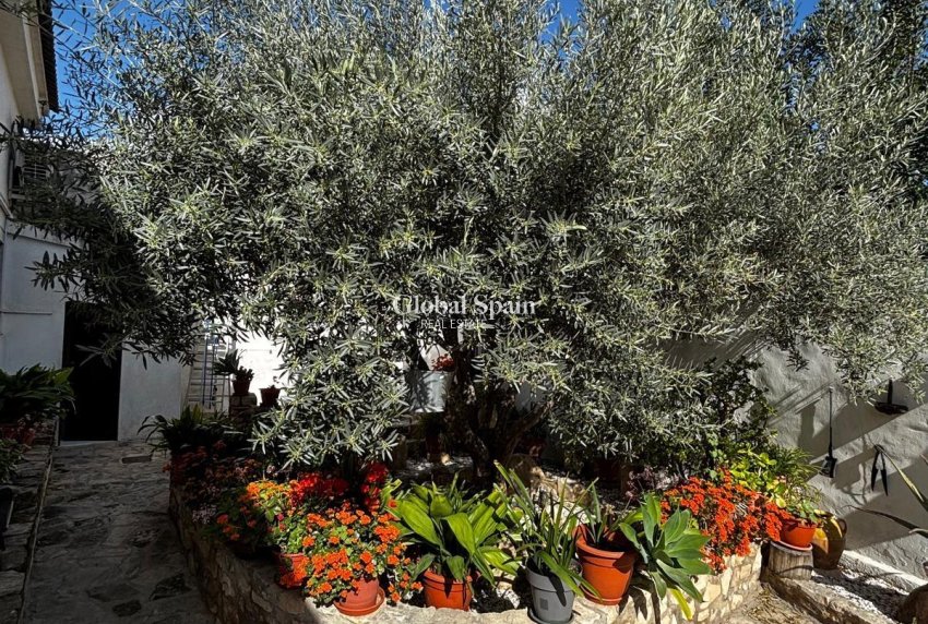 Venta - CASA -
BENEJÚZAR - Comunidad Valenciana