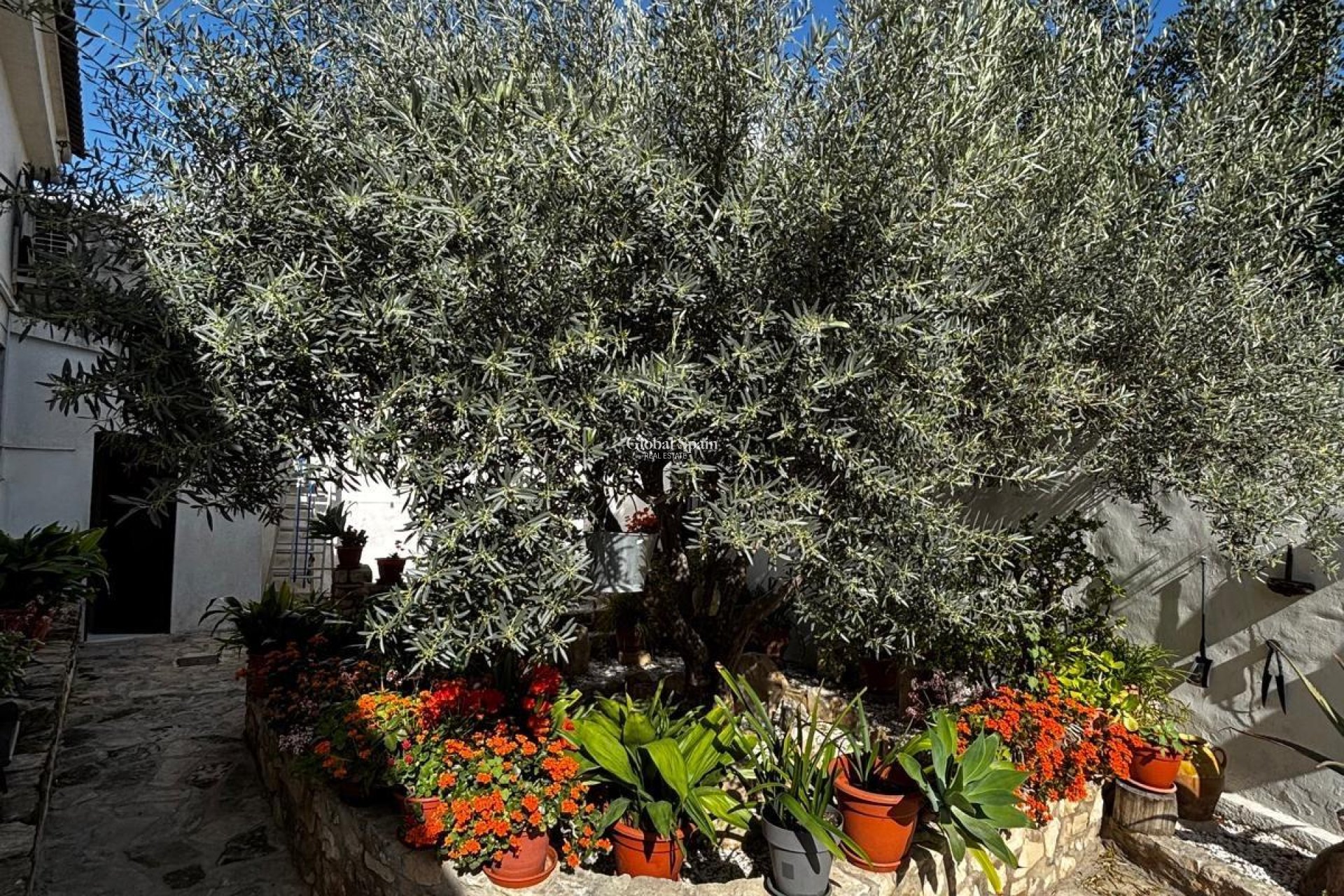 Venta - CASA -
BENEJÚZAR - Comunidad Valenciana