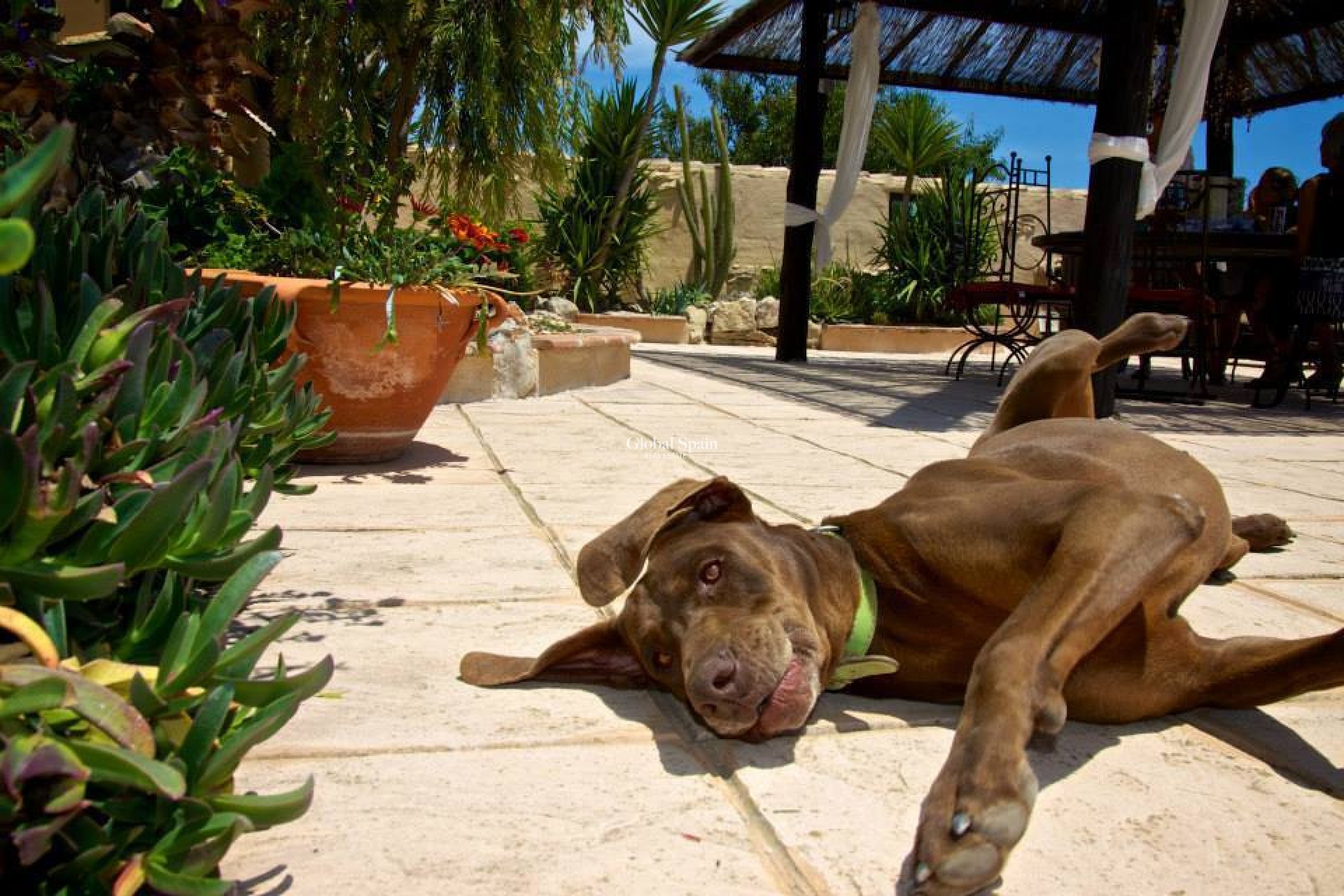 Venta - CASA -
BENISSA - Costa Blanca