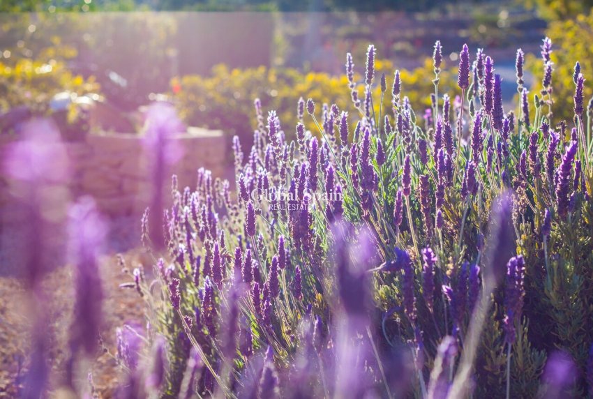 Venta - CASA -
BENISSA - Costa Blanca