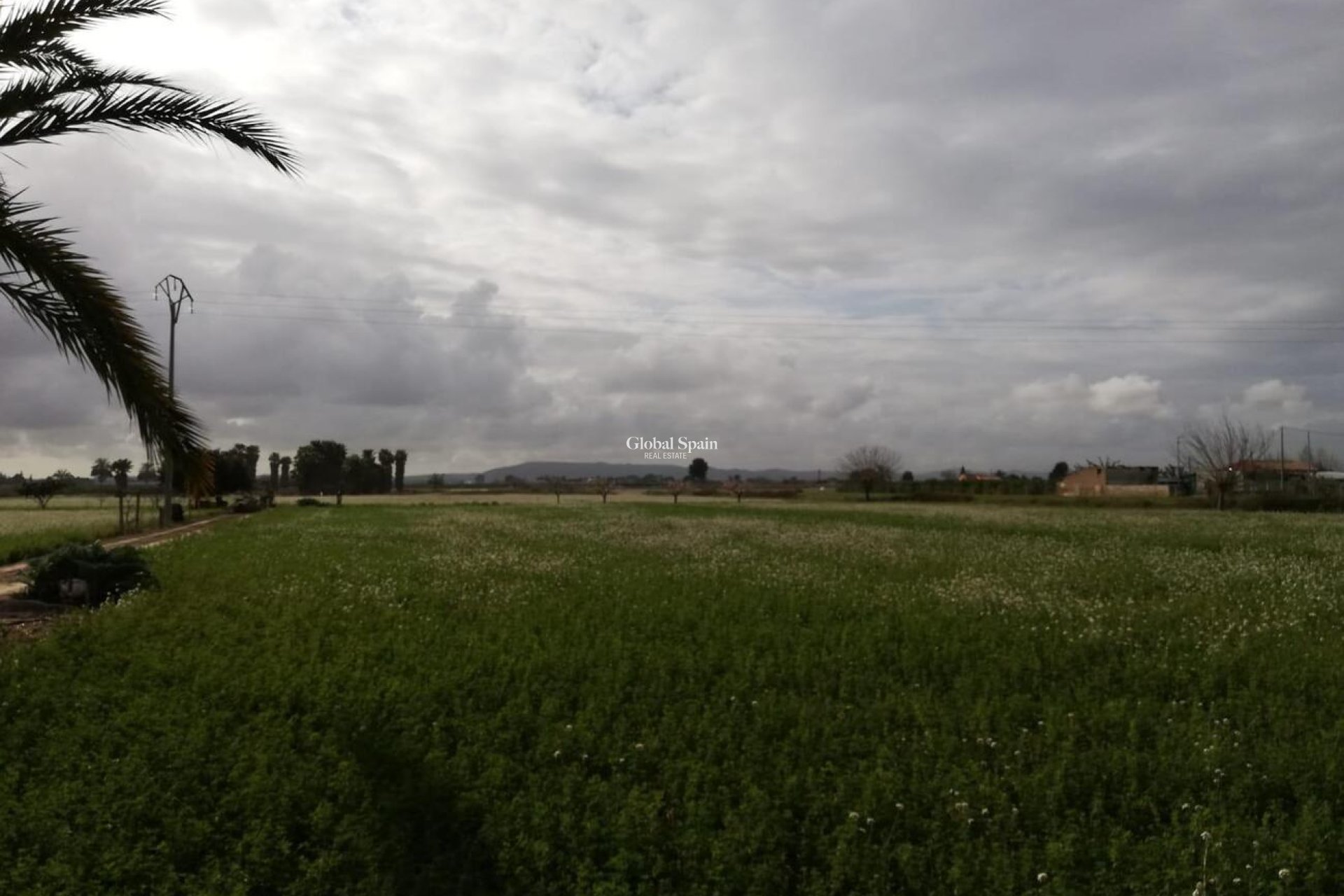 Venta - CASA -
CALLOSA DEL SEGURA - Costa Blanca