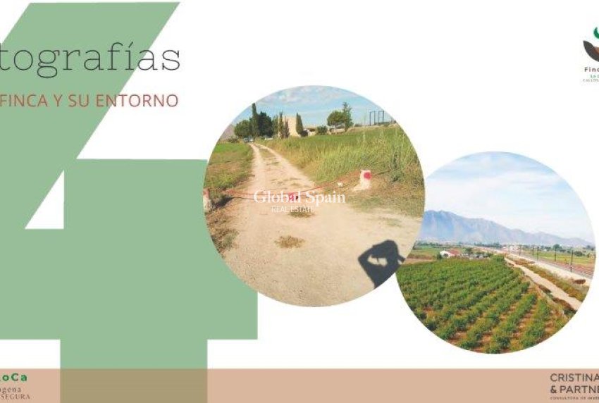 Venta - CASA -
CALLOSA DEL SEGURA