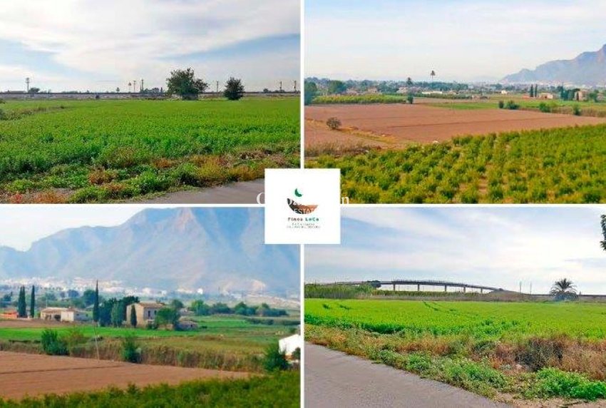 Venta - CASA -
CALLOSA DEL SEGURA