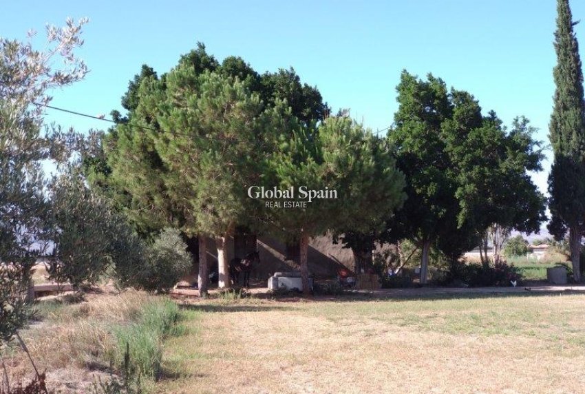 Venta - CASA -
CALLOSA DEL SEGURA