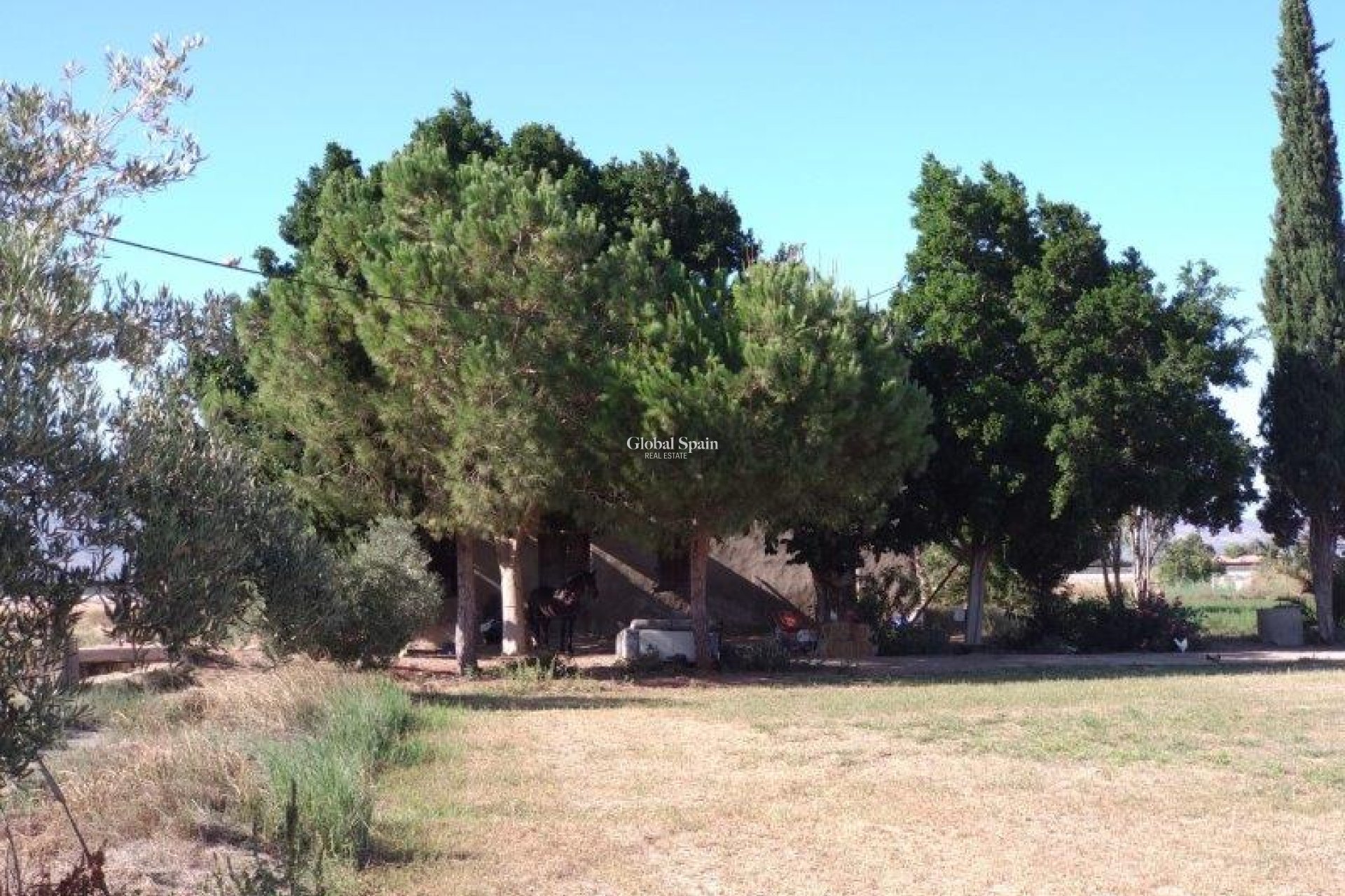 Venta - CASA -
CALLOSA DEL SEGURA