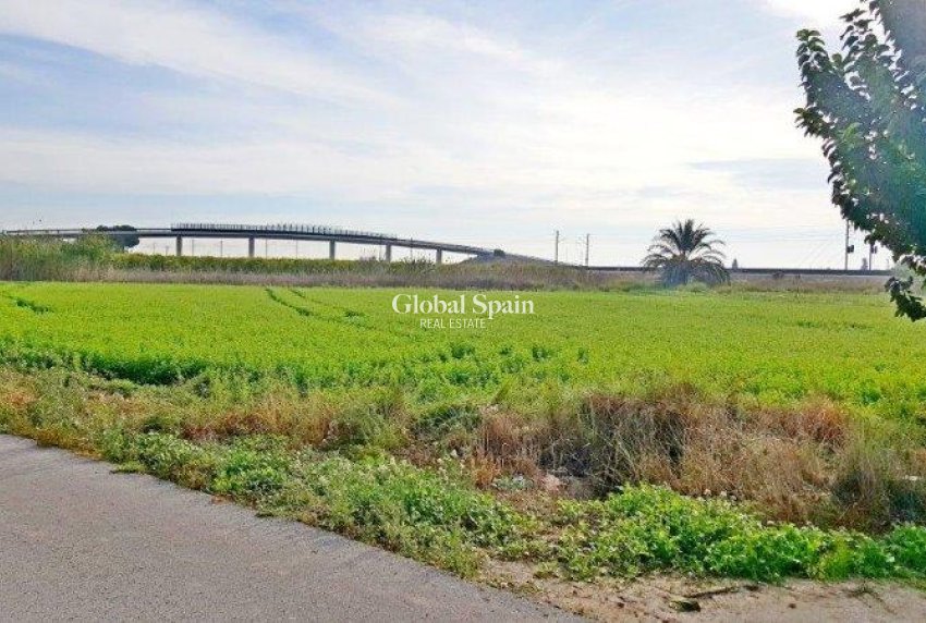 Venta - CASA -
CALLOSA DEL SEGURA