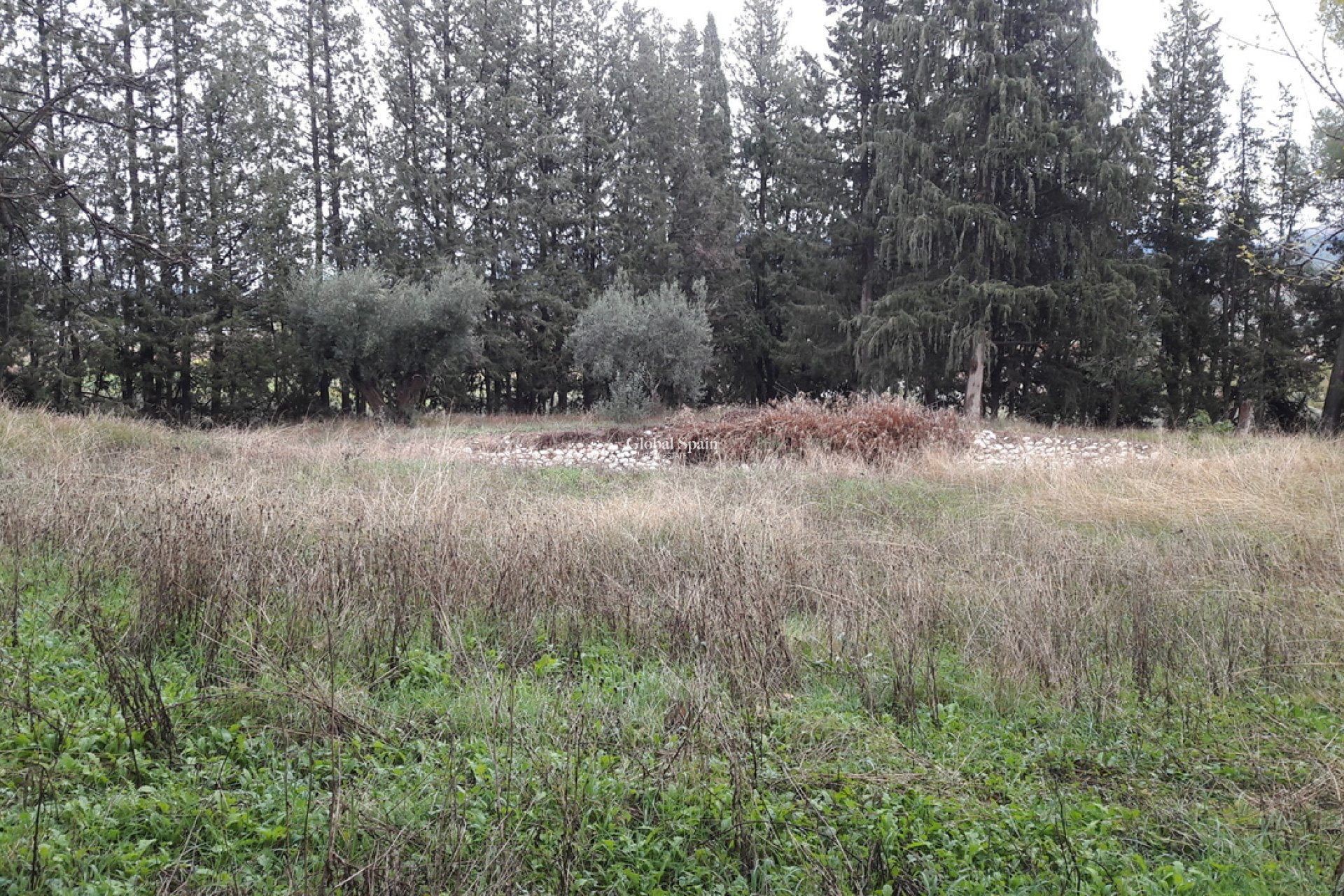 Venta - CASA -
CARAVACA DE LA CRUZ - Inland