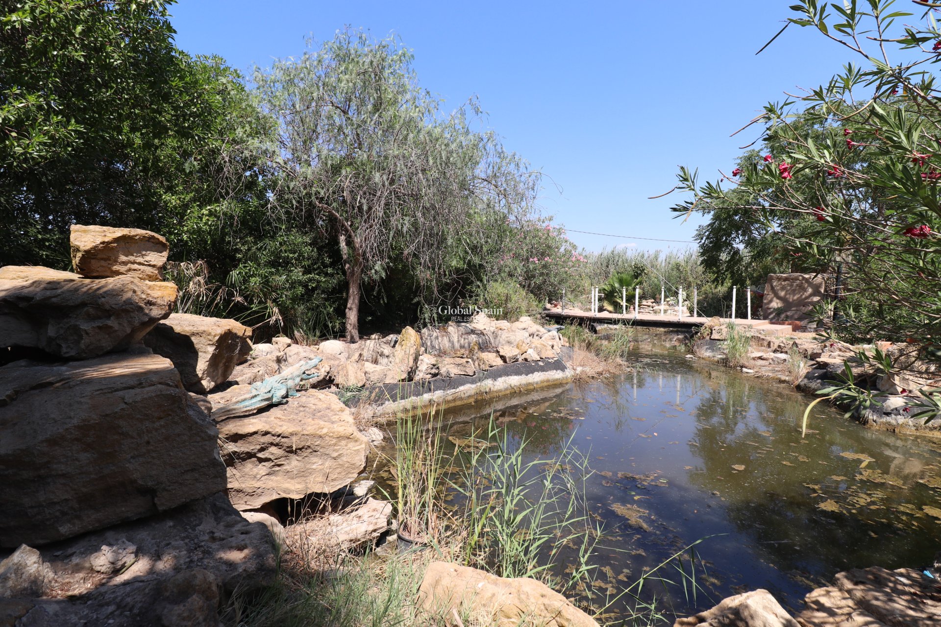 Venta - CASA -
Catral - Catral - Country